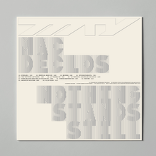 Load image into Gallery viewer, Mama told ya - "Nothing stands still" LP - 12" Vinyl - MTY013
