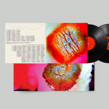 Load image into Gallery viewer, Mama told ya - "Nothing stands still" LP - 12" Vinyl - MTY013
