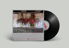 Load image into Gallery viewer, Mama told ya - "Looks are deceiving" EP - 12" Vinyl - MTY009
